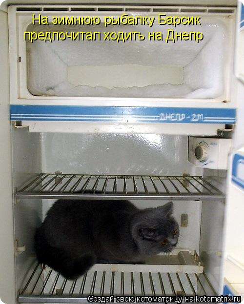 На зимнюю рыбалку Барсик предпочитал ходить на Днепр... Котоматрица: На зимнюю рыбалку Барсик предпочитал ходить на Днепр
