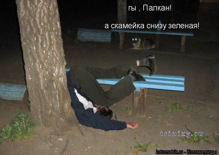 гы , Палкан! а скамейка снизу зеленая!... Котоматрица: гы , Палкан! а скамейка снизу зеленая!