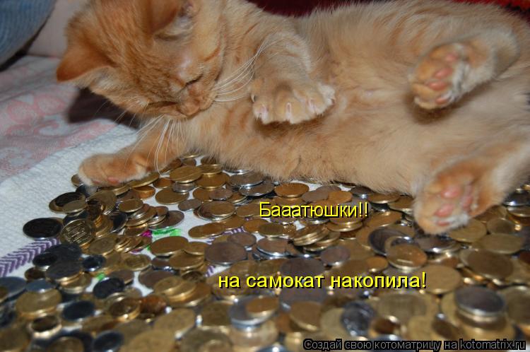 Бааатюшки!! на самокат накопила!... Котоматрица: Бааатюшки!! на самокат накопила!