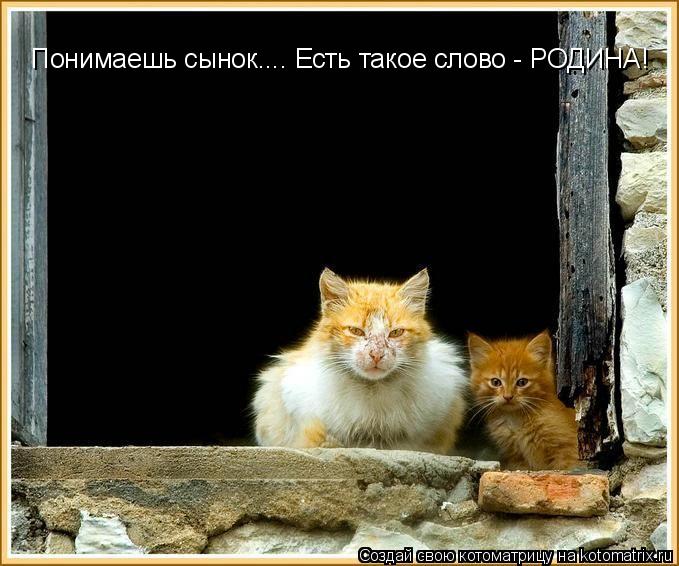 Понимаешь сынок.... Есть такое слово - РОДИНА!... Котоматрица: Понимаешь сынок.... Есть такое слово - РОДИНА!