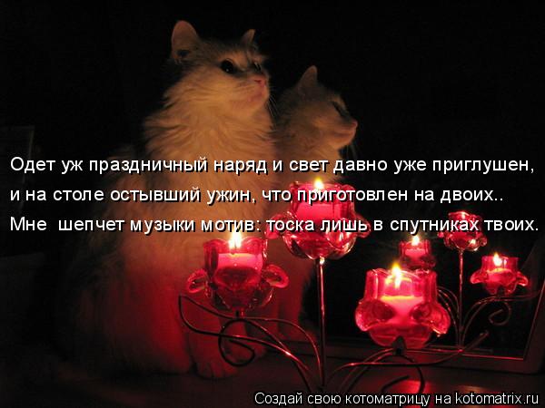 Одет уж праздничный наряд и свет давно уже приглушен, и на столе остывший ужин, что приготовлен на дв... Котоматрица: Одет уж праздничный наряд и свет давно уже приглушен, и на столе остывший ужин, что приготовлен на двоих.. Мне шепчет музыки мотив: тоска лиш