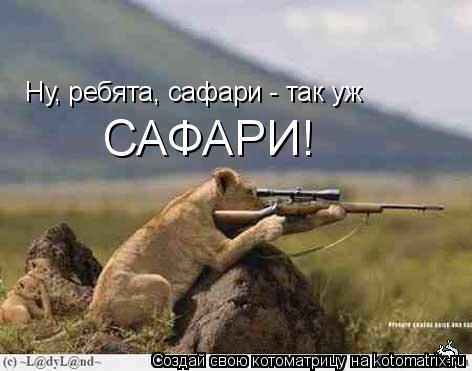 Ну, ребята, сафари - так уж САФАРИ!... Котоматрица: Ну, ребята, сафари - так уж САФАРИ!