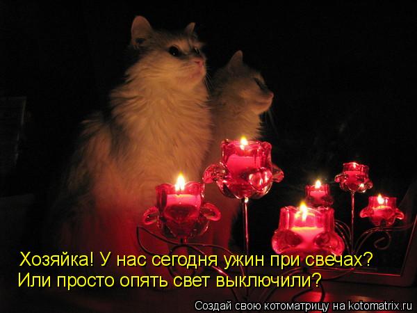 Хозяйка! У нас сегодня ужин при свечах? Или просто опять свет выключили?... Котоматрица: Хозяйка! У нас сегодня ужин при свечах? Или просто опять свет выключили?
