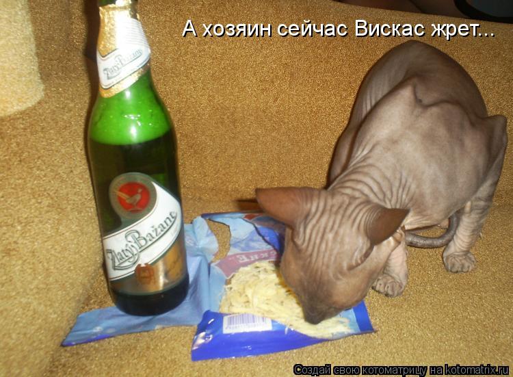 А хозяин сейчас Вискас жрет...... Котоматрица: А хозяин сейчас Вискас жрет...