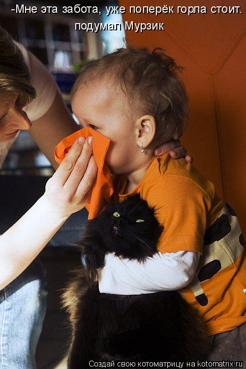 -Мне эта забота, уже поперёк горла стоит. подумал Мурзик... Котоматрица: -Мне эта забота, уже поперёк горла стоит. подумал Мурзик