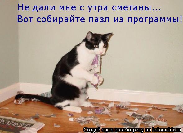 Не дали мне с утра сметаны... Вот собирайте пазл из программы!... Котоматрица: Не дали мне с утра сметаны... Вот собирайте пазл из программы!