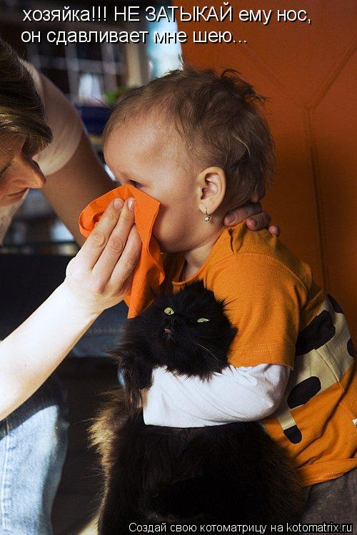 хозяйка!!! НЕ ЗАТЫКАЙ ему нос, он сдавливает мне шею...... Котоматрица: хозяйка!!! НЕ ЗАТЫКАЙ ему нос, он сдавливает мне шею...