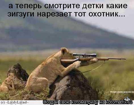 а теперь смотрите детки какие зигзуги нарезает тот охотник...... Котоматрица: а теперь смотрите детки какие зигзуги нарезает тот охотник...