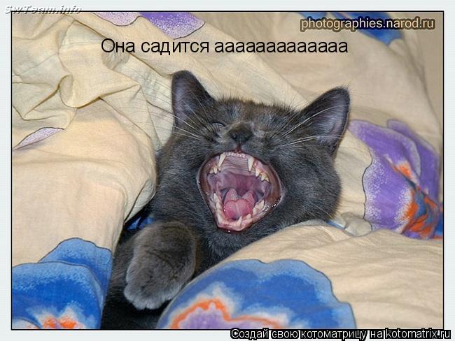 Она садится ааааааааааааа... Котоматрица: Она садится ааааааааааааа