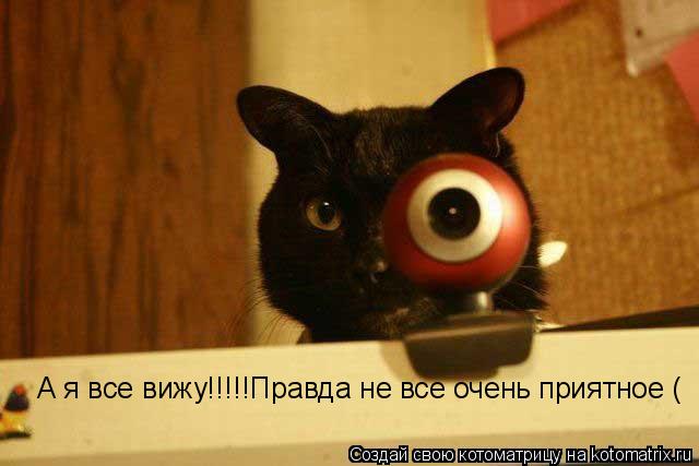 А я все вижу!!!!! А я все вижу!!!!!Правда не все очень приятное (... Котоматрица: А я все вижу!!!!! А я все вижу!!!!!Правда не все очень приятное (