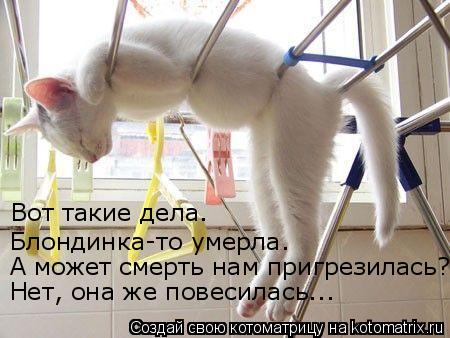Вот такие дела. Блондинка-то умерла. А может смерть нам пригрезилась? Нет, она же повесилась...... Котоматрица: Вот такие дела. Блондинка-то умерла. А может смерть нам пригрезилась? Нет, она же повесилась...