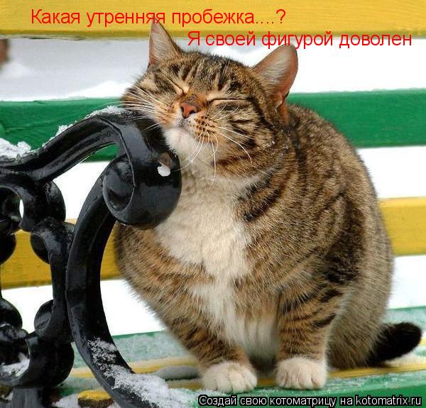 Какая утренняя пробежка....? Я своей фигурой доволен... Котоматрица: Какая утренняя пробежка....? Я своей фигурой доволен