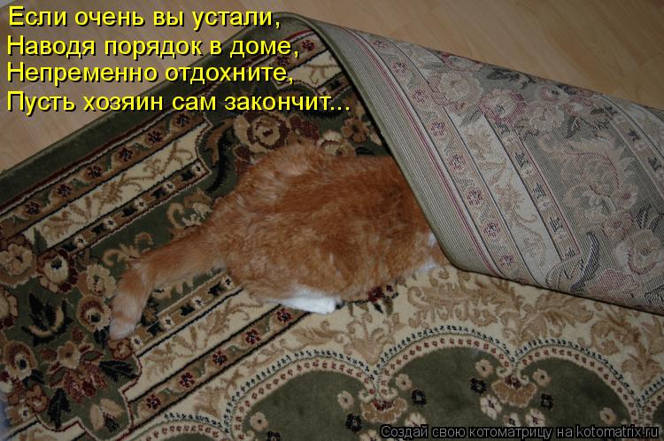Если очень вы устали, Наводя порядок в доме, Непременно отдохните, Пусть хозяин сам закончит...... Котоматрица: Если очень вы устали, Наводя порядок в доме, Непременно отдохните, Пусть хозяин сам закончит...