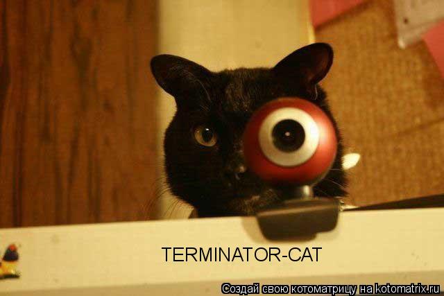 TERMINATOR-CAT... Котоматрица: TERMINATOR-CAT