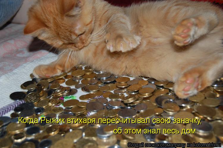 Когда Рыжик втихаря пересчитывал свою заначку, об этом знал весь дом... Котоматрица: Когда Рыжик втихаря пересчитывал свою заначку, об этом знал весь дом