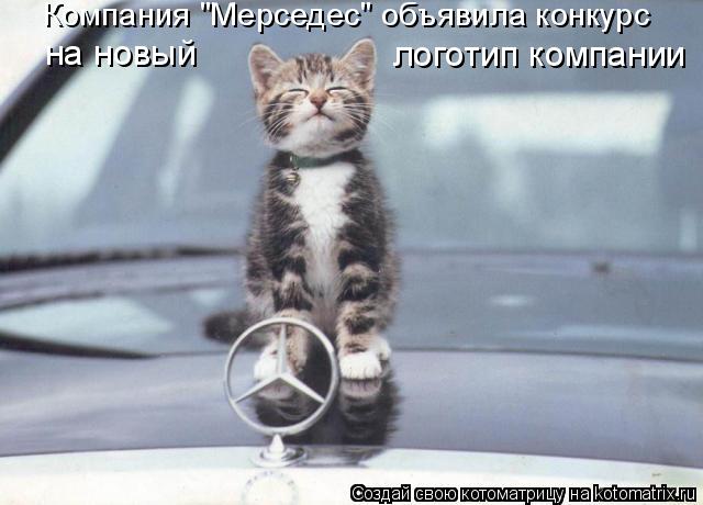 Компания "Мерседес" объявила конкурс на новый логотип компании... Котоматрица: Компания "Мерседес" объявила конкурс на новый логотип компании