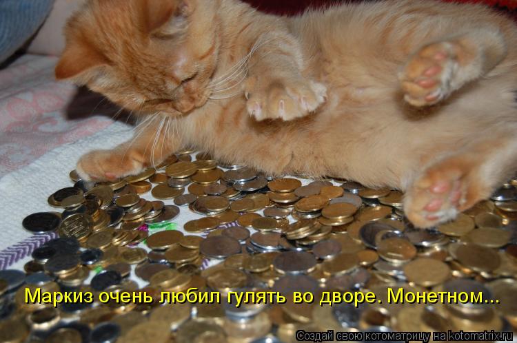 Маркиз очень любил гулять во дворе. Монетном...... Котоматрица: Маркиз очень любил гулять во дворе. Монетном...