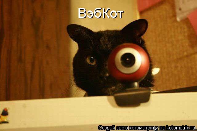 ВэбКот... Котоматрица: ВэбКот
