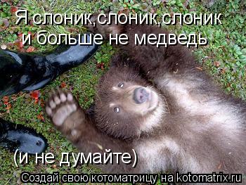Я слоник,слоник,слоник и больше не медведь (и не думайте)... Котоматрица: Я слоник,слоник,слоник и больше не медведь (и не думайте)