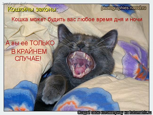 Кошкины законы: А вы её ТОЛЬКО В КРАЙНЕМ СЛУЧАЕ! Кошка может будить вас любое время дня и ночи... Котоматрица: Кошкины законы: А вы её ТОЛЬКО В КРАЙНЕМ СЛУЧАЕ! Кошка может будить вас любое время дня и ночи