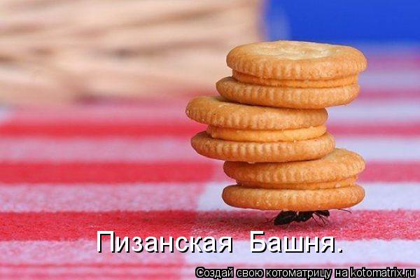 Пизанская Башня.... Котоматрица: Пизанская Башня.
