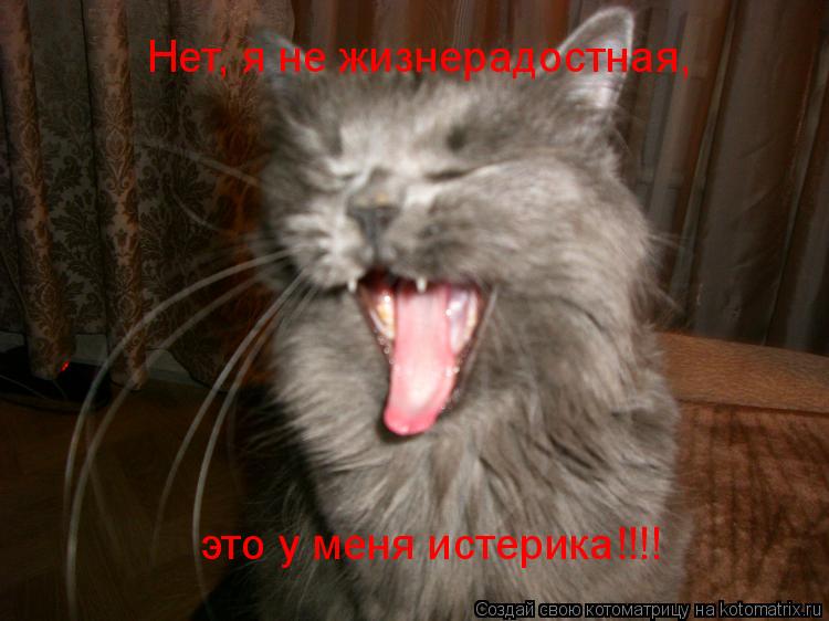 Нет, я не жизнерадостная, это у меня истерика!!!!... Котоматрица: Нет, я не жизнерадостная, это у меня истерика!!!!