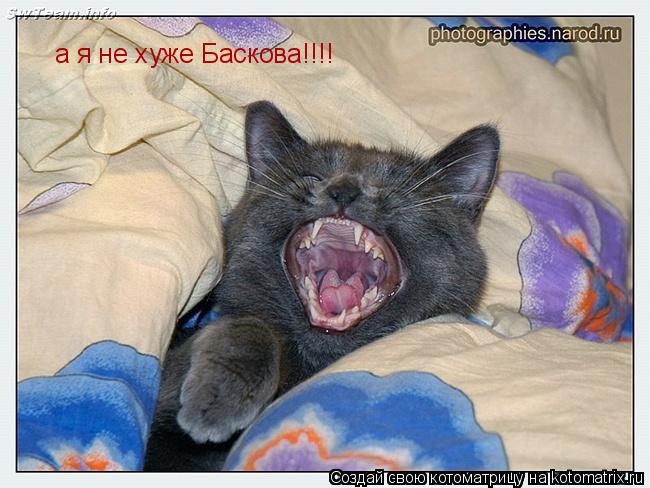 а я не хуже Баскова!!!!... Котоматрица: а я не хуже Баскова!!!!