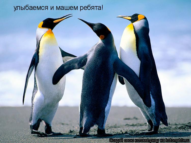 улыбаемся и машем ребята!... Котоматрица: улыбаемся и машем ребята!