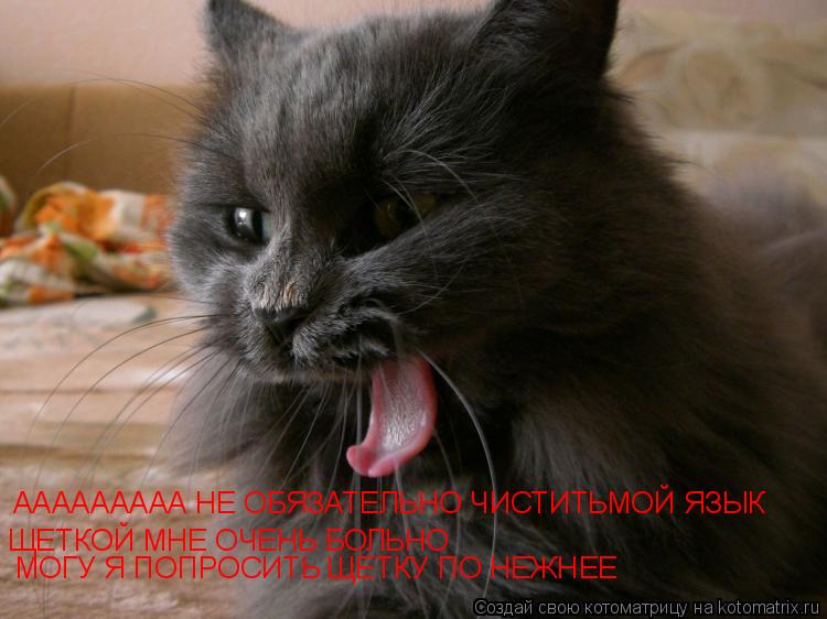 ААААААААА НЕ ОБЯЗАТЕЛЬНО ЧИСТИТЬМОЙ ЯЗЫК ЩЕТКОЙ МНЕ ОЧЕНЬ БОЛЬНО МОГУ Я ПОПРОСИТЬ ЩЕТКУ ПО НЕЖНЕЕ... Котоматрица: ААААААААА НЕ ОБЯЗАТЕЛЬНО ЧИСТИТЬМОЙ ЯЗЫК ЩЕТКОЙ МНЕ ОЧЕНЬ БОЛЬНО МОГУ Я ПОПРОСИТЬ ЩЕТКУ ПО НЕЖНЕЕ