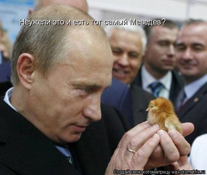 Неужели это и есть тот самый Меведев?... Котоматрица: Неужели это и есть тот самый Меведев?