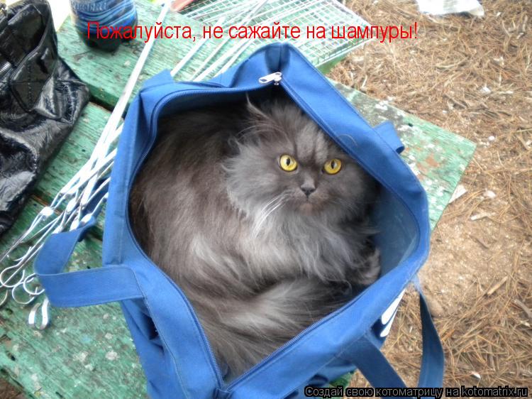 Пожалуйста, не сажайте на шампуры!... Котоматрица: Пожалуйста, не сажайте на шампуры!