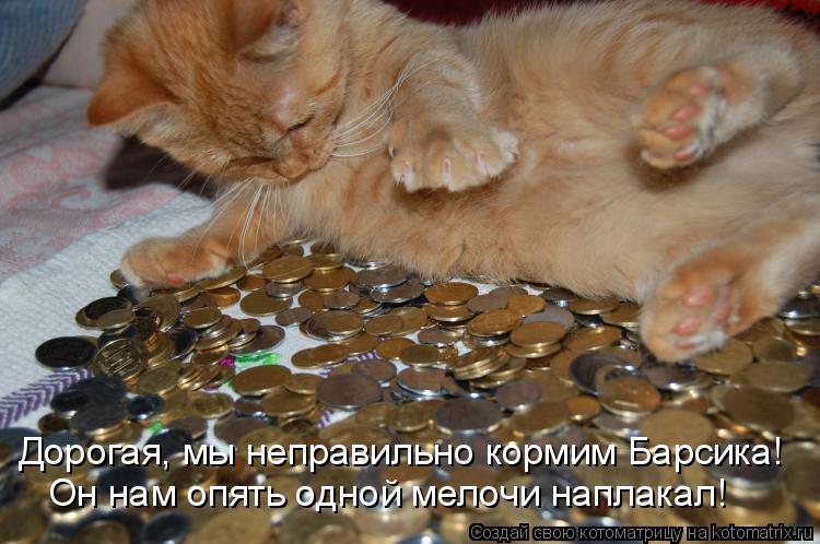 Дорогая, мы неправильно кормим Барсика! Он нам опять одной мелочи наплакал!... Котоматрица: Дорогая, мы неправильно кормим Барсика! Он нам опять одной мелочи наплакал!