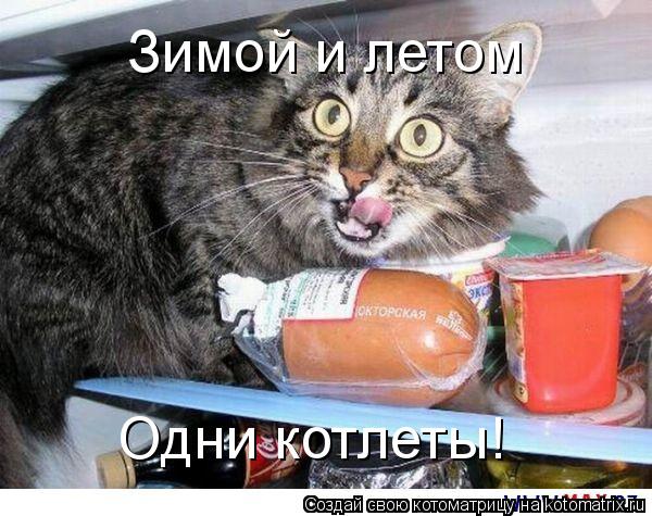 Зимой и летом Одни котлеты!... Котоматрица: Зимой и летом Одни котлеты!