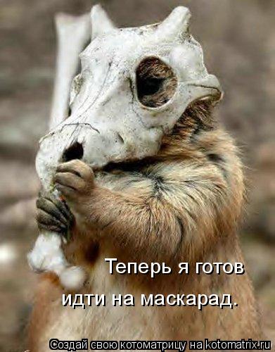 Теперь я готов идти на маскарад.... Котоматрица: Теперь я готов идти на маскарад.