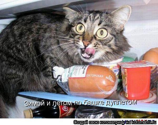 Зимой и летом по башке дуплетом... Котоматрица: Зимой и летом по башке дуплетом