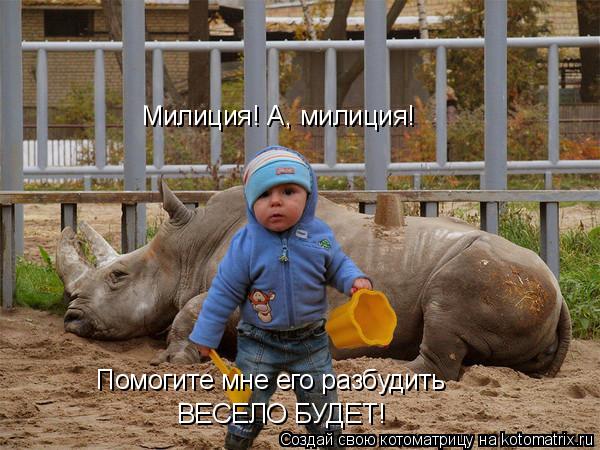 Милиция! А, милиция! Помогите мне его разбудить ВЕСЕЛО БУДЕТ!... Котоматрица: Милиция! А, милиция! Помогите мне его разбудить ВЕСЕЛО БУДЕТ!
