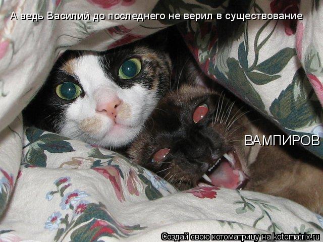 А ведь Василий до последнего не верил в существование ВАМПИРОВ... Котоматрица: А ведь Василий до последнего не верил в существование ВАМПИРОВ