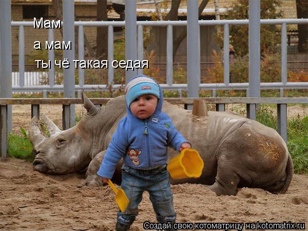 Мам а мам ты чё такая седая... Котоматрица: Мам а мам ты чё такая седая