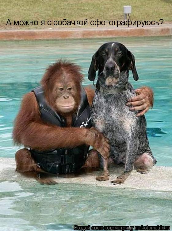 А можно я с собачкой сфотографируюсь?... Котоматрица: А можно я с собачкой сфотографируюсь?