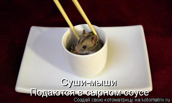 Суши-мыши Подаются в сырном соусе... Котоматрица: Суши-мыши Подаются в сырном соусе