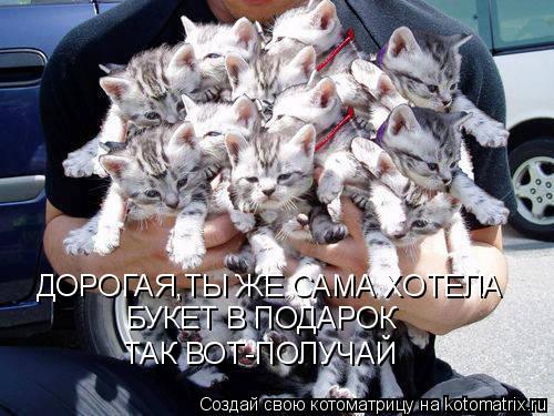 ДОРОГАЯ,ТЫ ЖЕ САМА ХОТЕЛА БУКЕТ В ПОДАРОК ТАК ВОТ-ПОЛУЧАЙ... Котоматрица: ДОРОГАЯ,ТЫ ЖЕ САМА ХОТЕЛА БУКЕТ В ПОДАРОК ТАК ВОТ-ПОЛУЧАЙ
