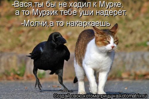 а то Мурзик тебе уши надерёт. -Молчи,а то накаркаешь -Вася,ты бы не ходил к Мурке,... Котоматрица: а то Мурзик тебе уши надерёт. -Молчи,а то накаркаешь -Вася,ты бы не ходил к Мурке,