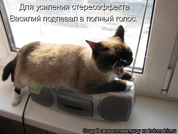 Для усиления стереоэффекта Василий подпевал в полный голос.... Котоматрица: Для усиления стереоэффекта Василий подпевал в полный голос.