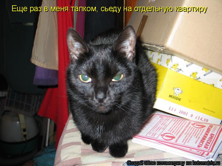 Еще раз в меня тапком, сьеду на отдельную квартиру... Котоматрица: Еще раз в меня тапком, сьеду на отдельную квартиру
