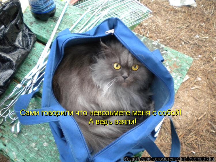 Сами говорили что невозьмете меня с собой! А ведь взяли!... Котоматрица: Сами говорили что невозьмете меня с собой! А ведь взяли!