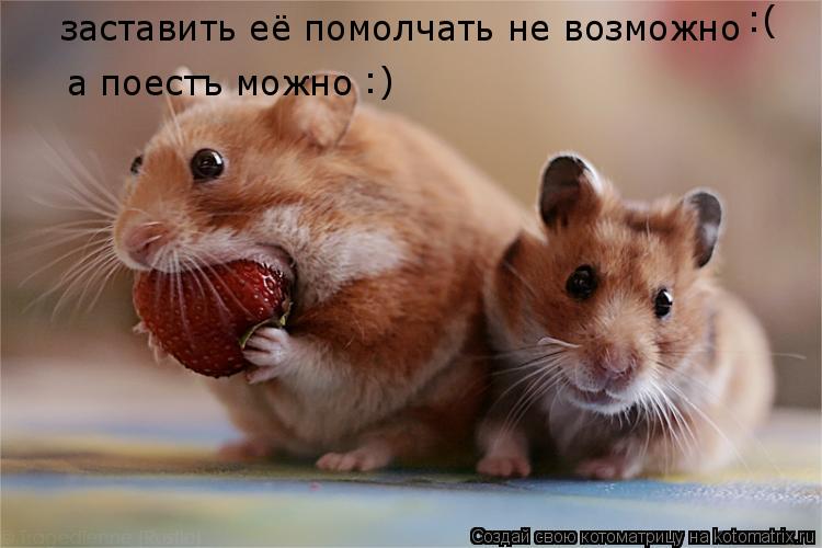заставить её помолчать не возможно заставить её помолчать не возможно а поестъ можно :) :(... Котоматрица: заставить её помолчать не возможно заставить её помолчать не возможно а поестъ можно :) :(