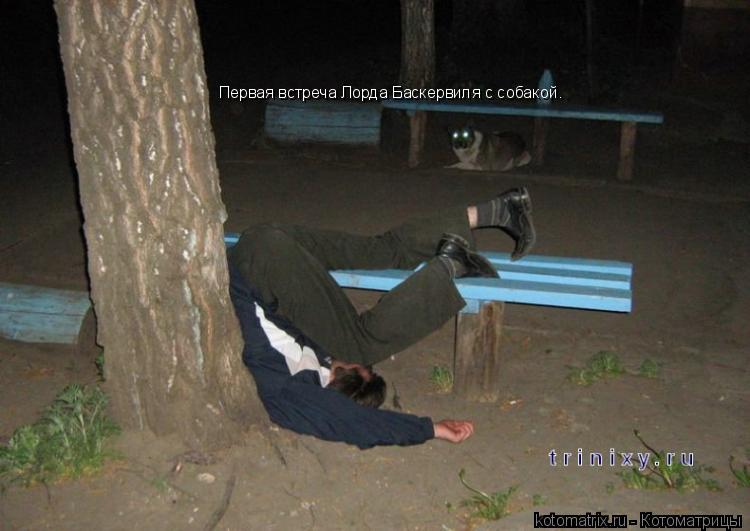 Первая встреча Лорда Баскервиля с собакой.... Котоматрица: Первая встреча Лорда Баскервиля с собакой.