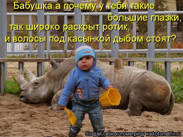 Бабушка а почему у тебя такие Бабушка а почему у тебя такие большие глазки, так широко раскрыт рот... Котоматрица: Бабушка а почему у тебя такие Бабушка а почему у тебя такие большие глазки, так широко раскрыт ротик, и волосы под касынкой дыбом стоят?