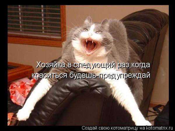 Хозяйка,в следующий раз,когда краситься будешь-предупреждай... Котоматрица: Хозяйка,в следующий раз,когда краситься будешь-предупреждай