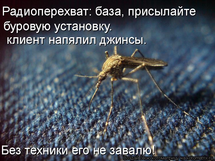 Радиоперехват: база, присылайте буровую установку. клиент напялил джинсы. Без техники его не завалю!... Котоматрица: Радиоперехват: база, присылайте буровую установку. клиент напялил джинсы. Без техники его не завалю!